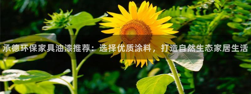 杏耀注册代理：承德环保家具油漆推荐：选择优质涂料，打造自然生