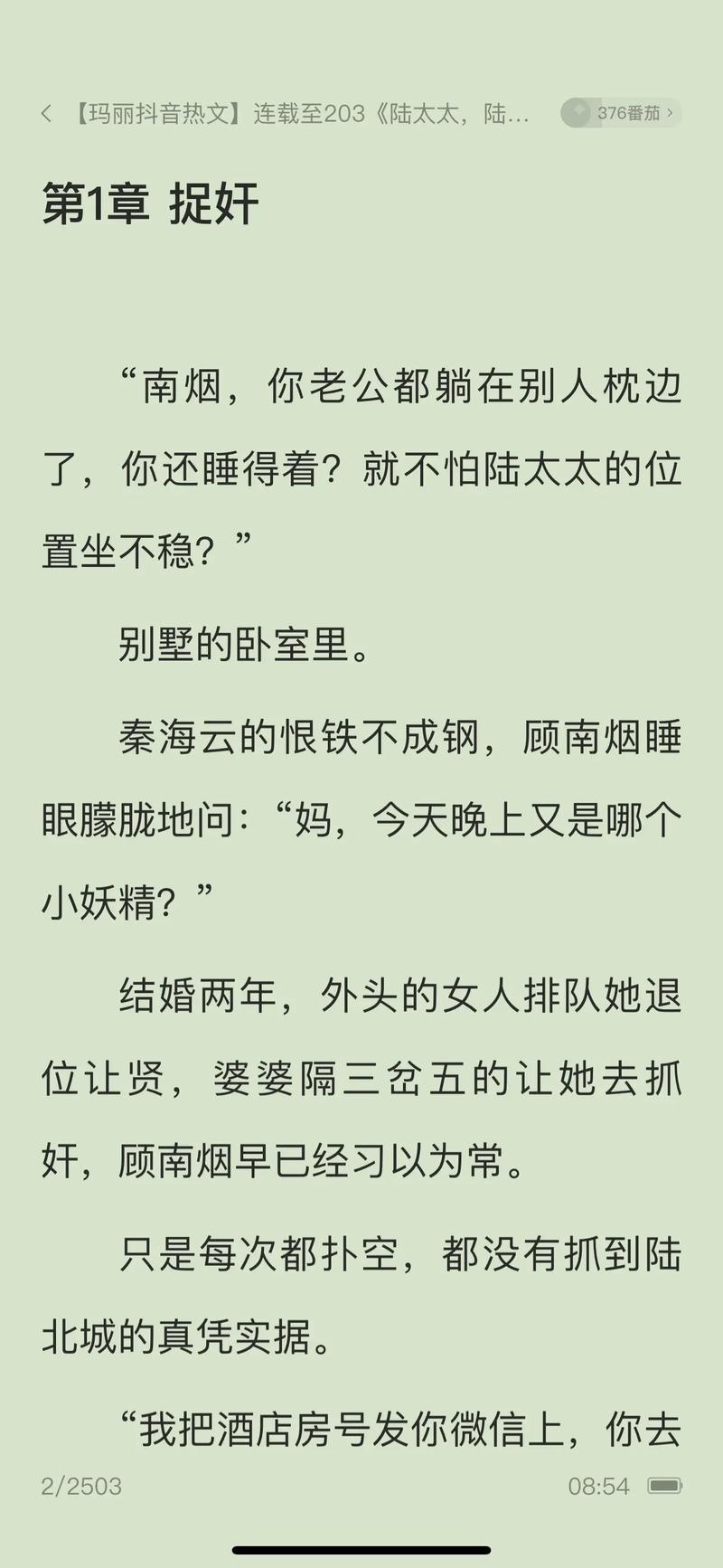 菠萝包轻小说APP下载
